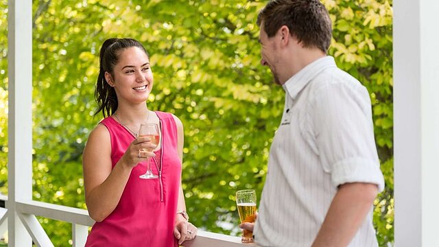 دیسوری ستلرز