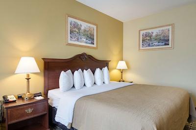 هلید این اکسپرز اند سویتز اُلاد اسود