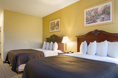 هلید این اکسپرز اند سویتز اُلاد اسود