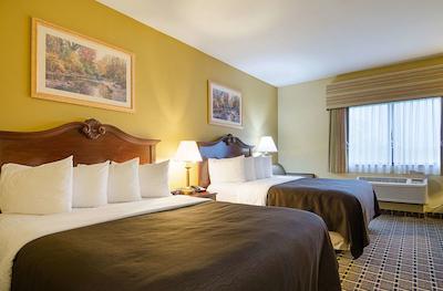 هلید این اکسپرز اند سویتز اُلاد اسود