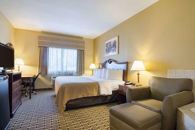 هلید این اکسپرز اند سویتز اُلاد اسود