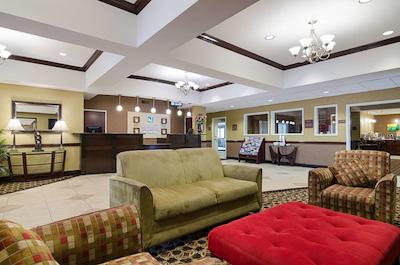 هلید این اکسپرز اند سویتز اُلاد اسود