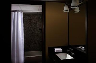 فور پوینتز بای شراتون ویرجینیا بیچ اُسینفرنت