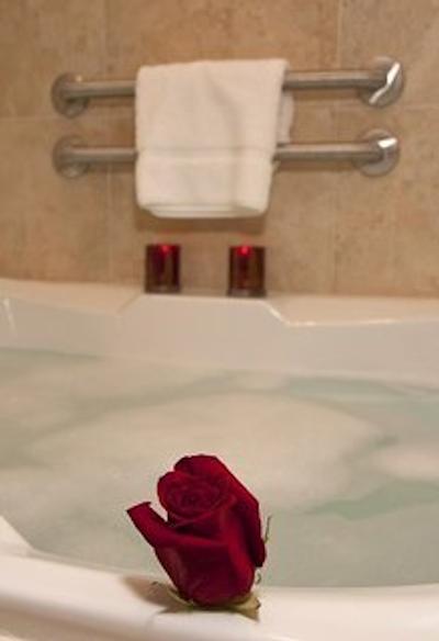 هیلتون گاردن این میلواوکی آیرپرت