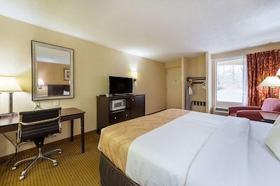 کوالیتی این مدیا