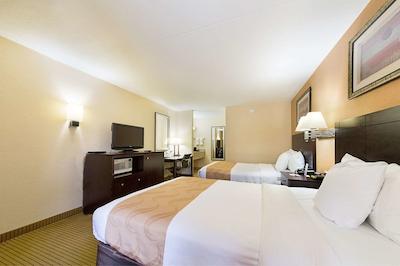 کوالیتی این مدیا