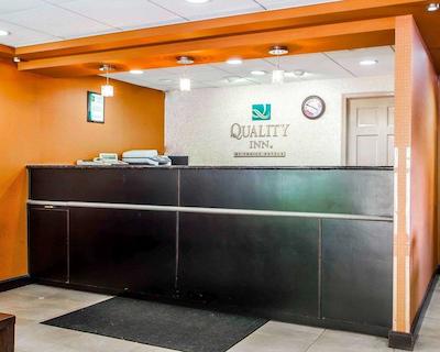 کوالیتی این مدیا