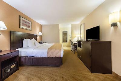 کوالیتی این مدیا