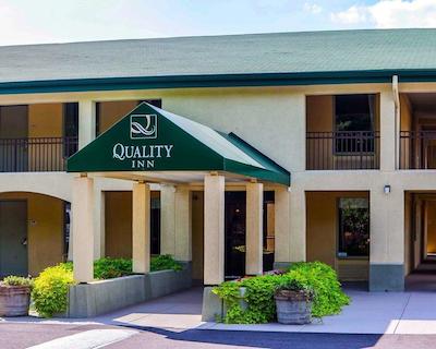 کوالیتی این مدیا