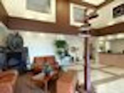 دز این داوسُن کریک