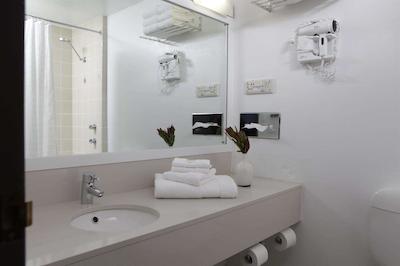 اتورا آلبوری