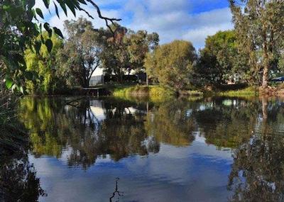 کمفرت این بوسلتون ریور ریزرت