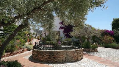 ال کاپیسترانو