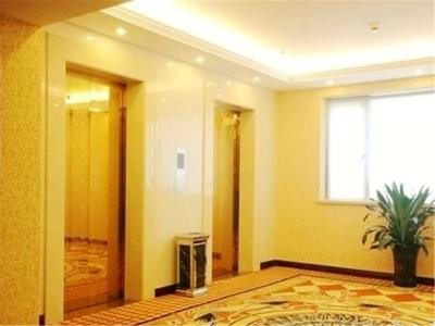 وینا اینترنشنال جوشینگ