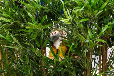 اسمارت روسل اسکوار