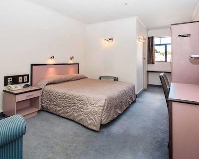 کمفرت بنونو