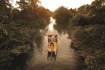 فور اسیسُنز هانگزهو ات وست لاک