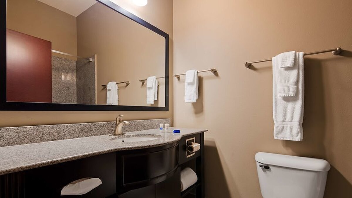 Best Western Abbeville Inn and Suites