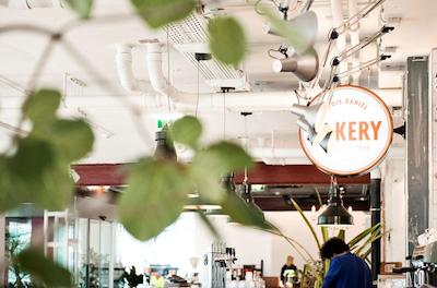 هتل دانیل وین