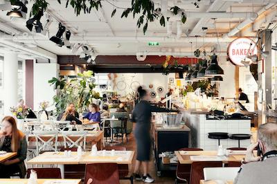 هتل دانیل وین