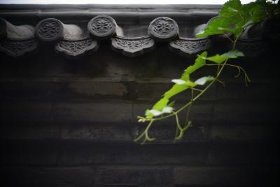 کت کور بیجینگ