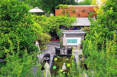 کت کور بیجینگ