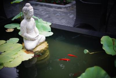 کت کور بیجینگ