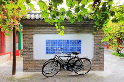 کت کور بیجینگ