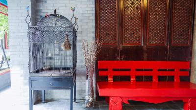 کت کور بیجینگ