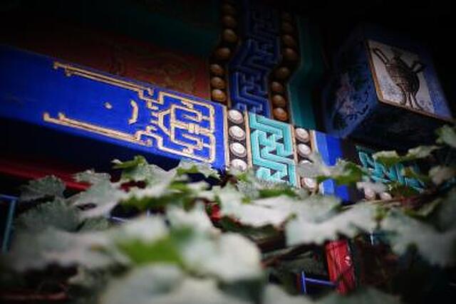 کت کور بیجینگ