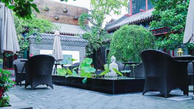 کت کور بیجینگ