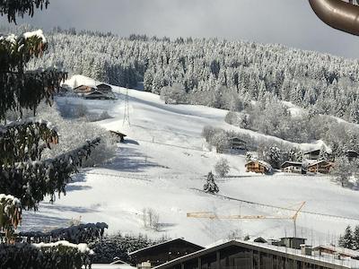 ویت لج چالت