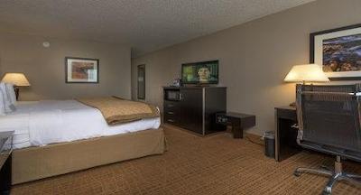 وایندهام گاردن بویس آیرپرت