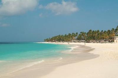 دیوی اروبا ال اینکلوسیو