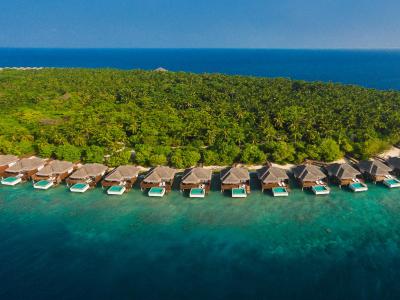 دوسیت تانی مالدیو