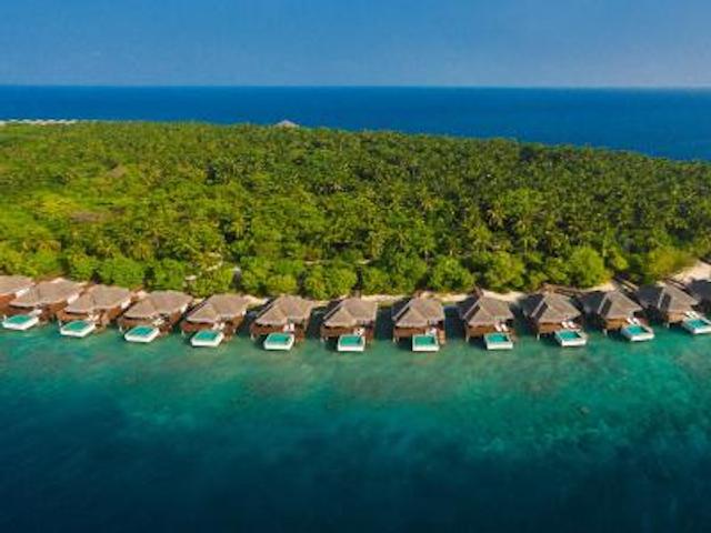 دوسیت تانی مالدیو