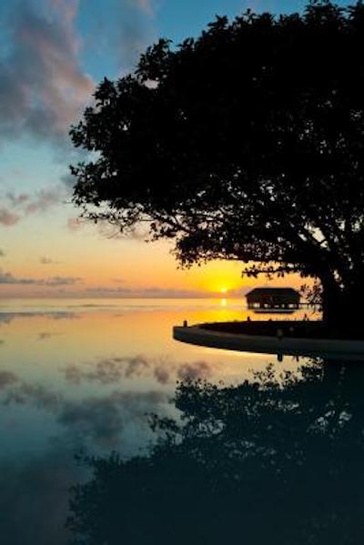 دوسیت تانی مالدیو