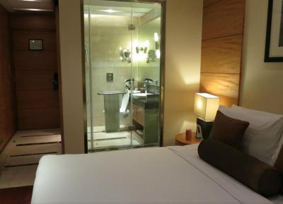 رادیسون بلو مارینا کانیوت پلیس