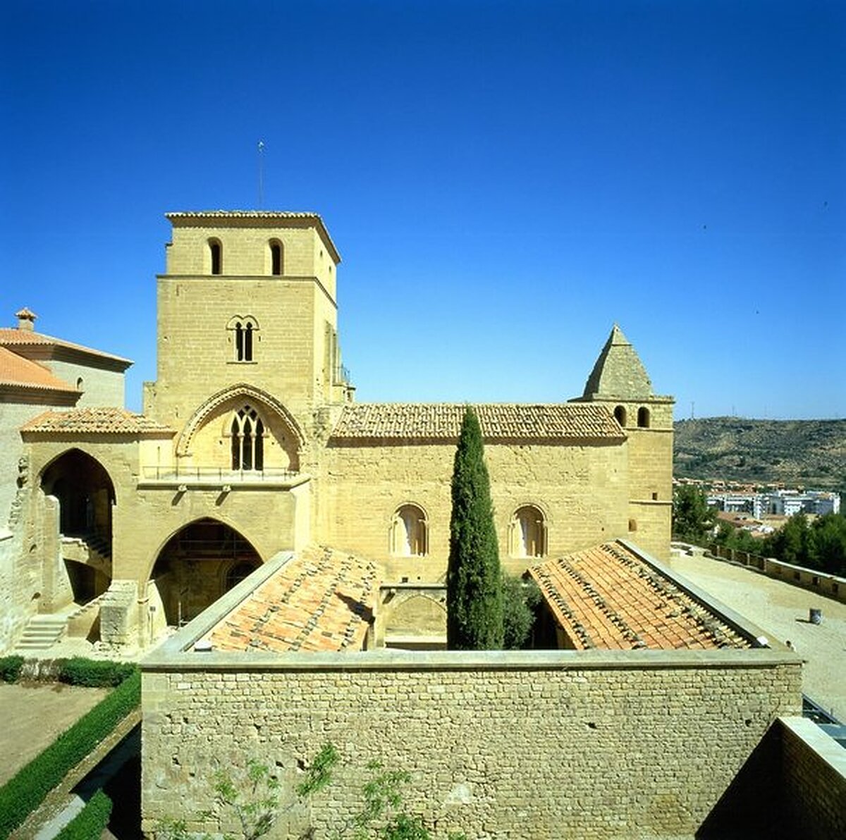 پارادر د آلکانیز