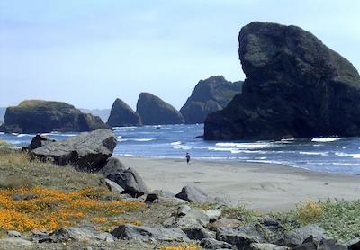 سورست پلاس هتل گولد بیچ