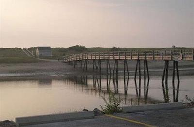 اُگونکویت تیدز