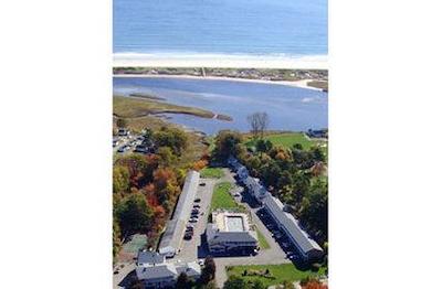 اُگونکویت تیدز