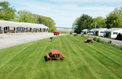 اُگونکویت تیدز