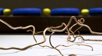 رادیسون بلو بلاروسکایا