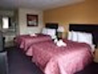 هیرت اُف ای-دریو