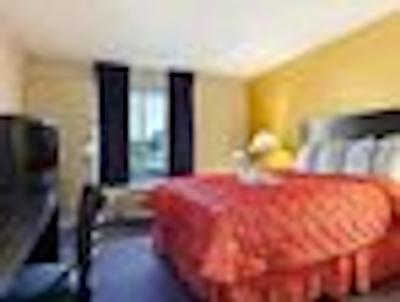 هیرت اُف ای-دریو