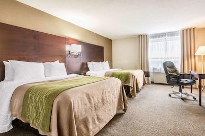 کمفرت این اند سویتز باری / اسا راد