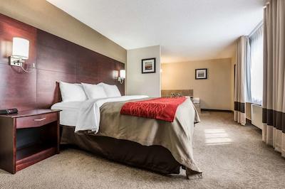 کمفرت این اند سویتز باری / اسا راد