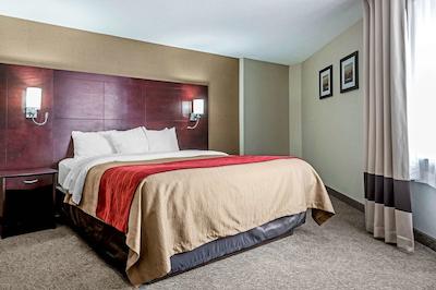 کمفرت این اند سویتز باری / اسا راد