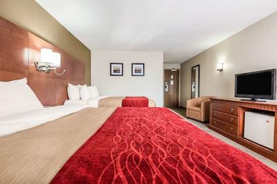 کمفرت این اند سویتز باری / اسا راد